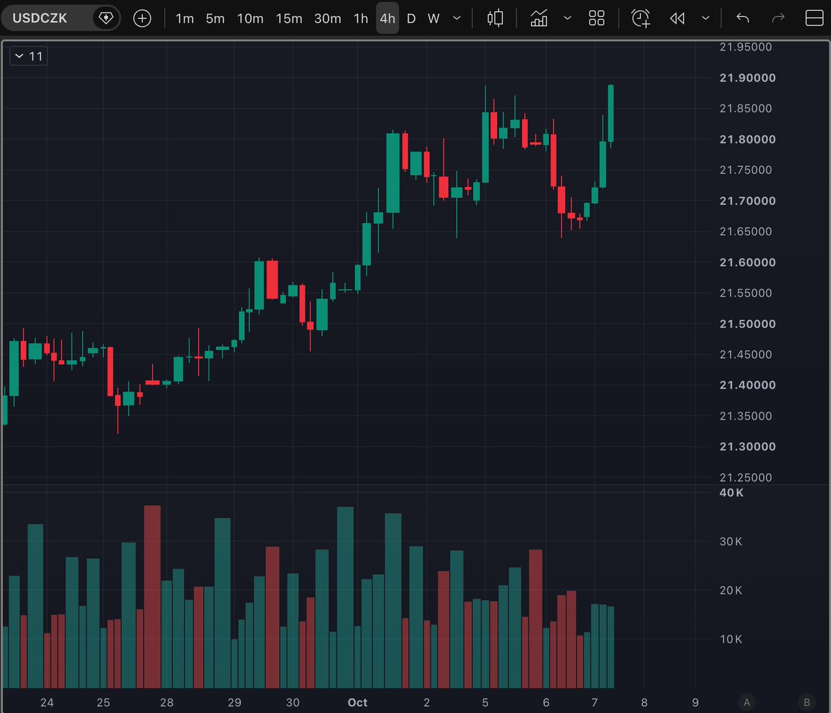 Naše pojistka ve formě USDCZK funguje 😇
