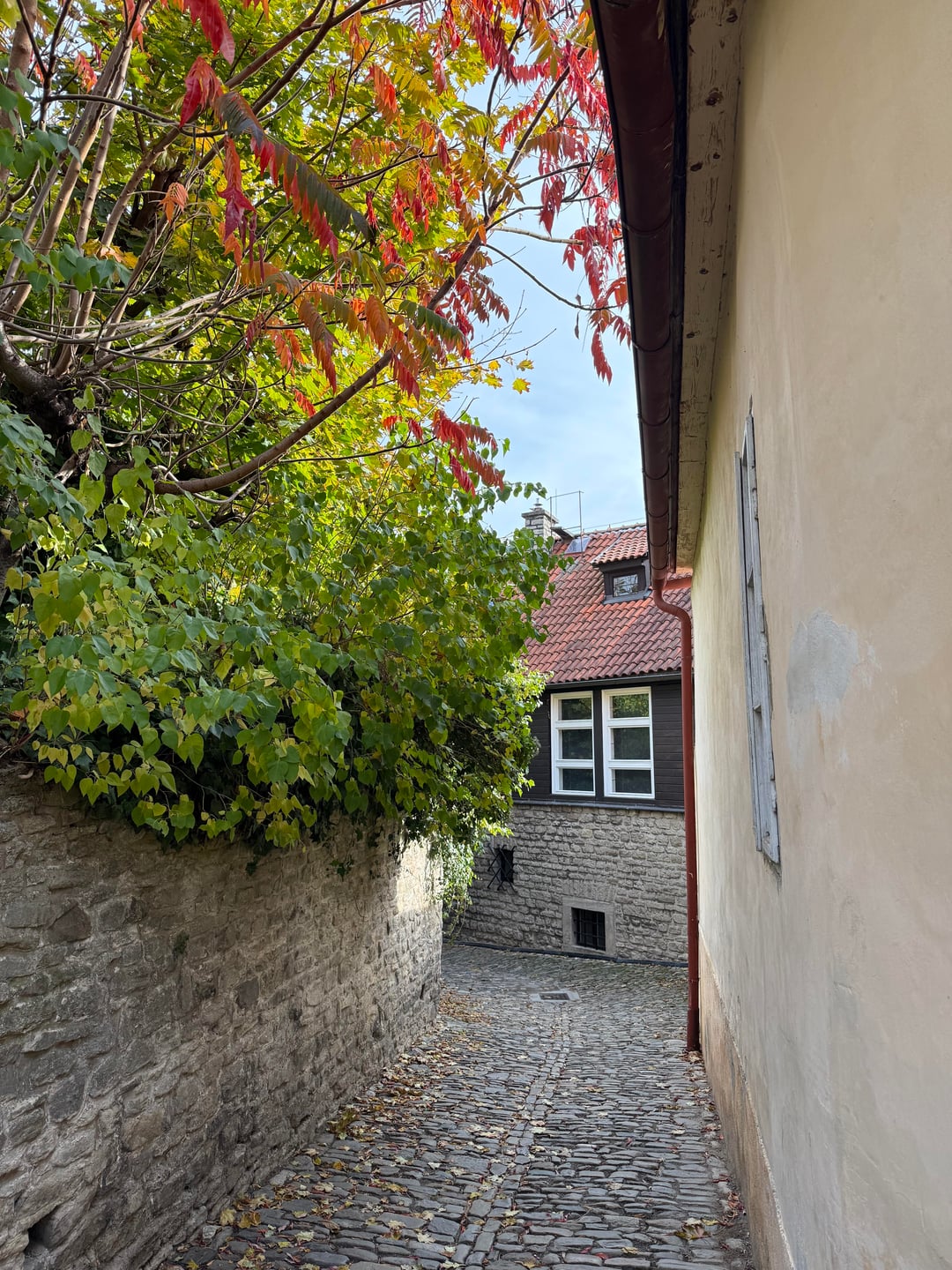 First time in the Czech Republic