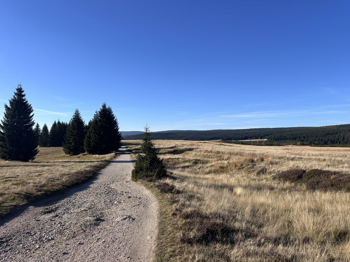 Obézní člověk si pořídil karbonový bio hardtail.