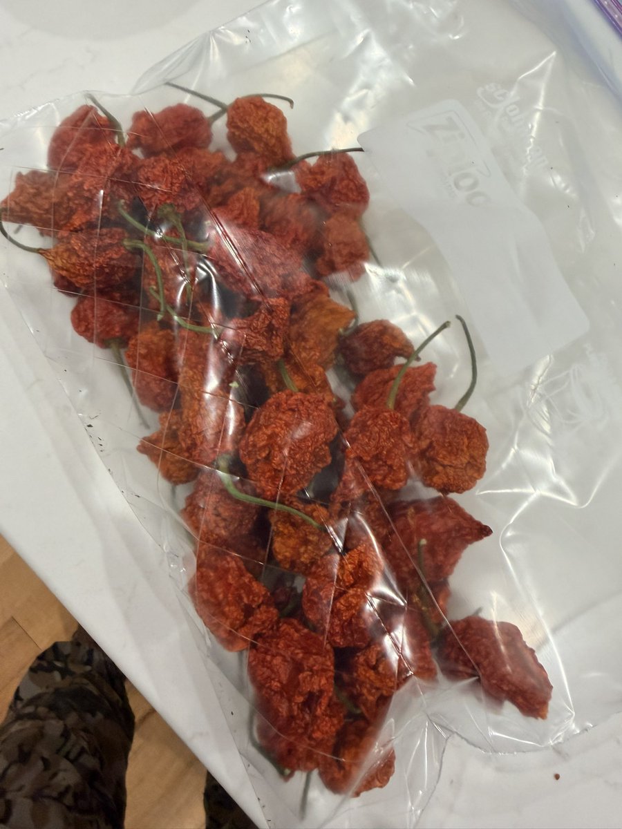 dehydrated these carolina reapers for preservation and i’m terrified one is gonna turn into dust and aerosolize.