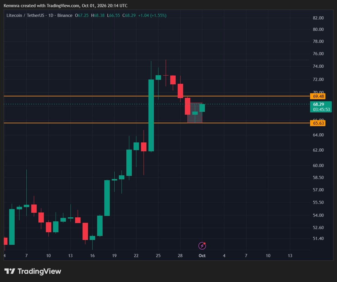 litecoin:native get ready!